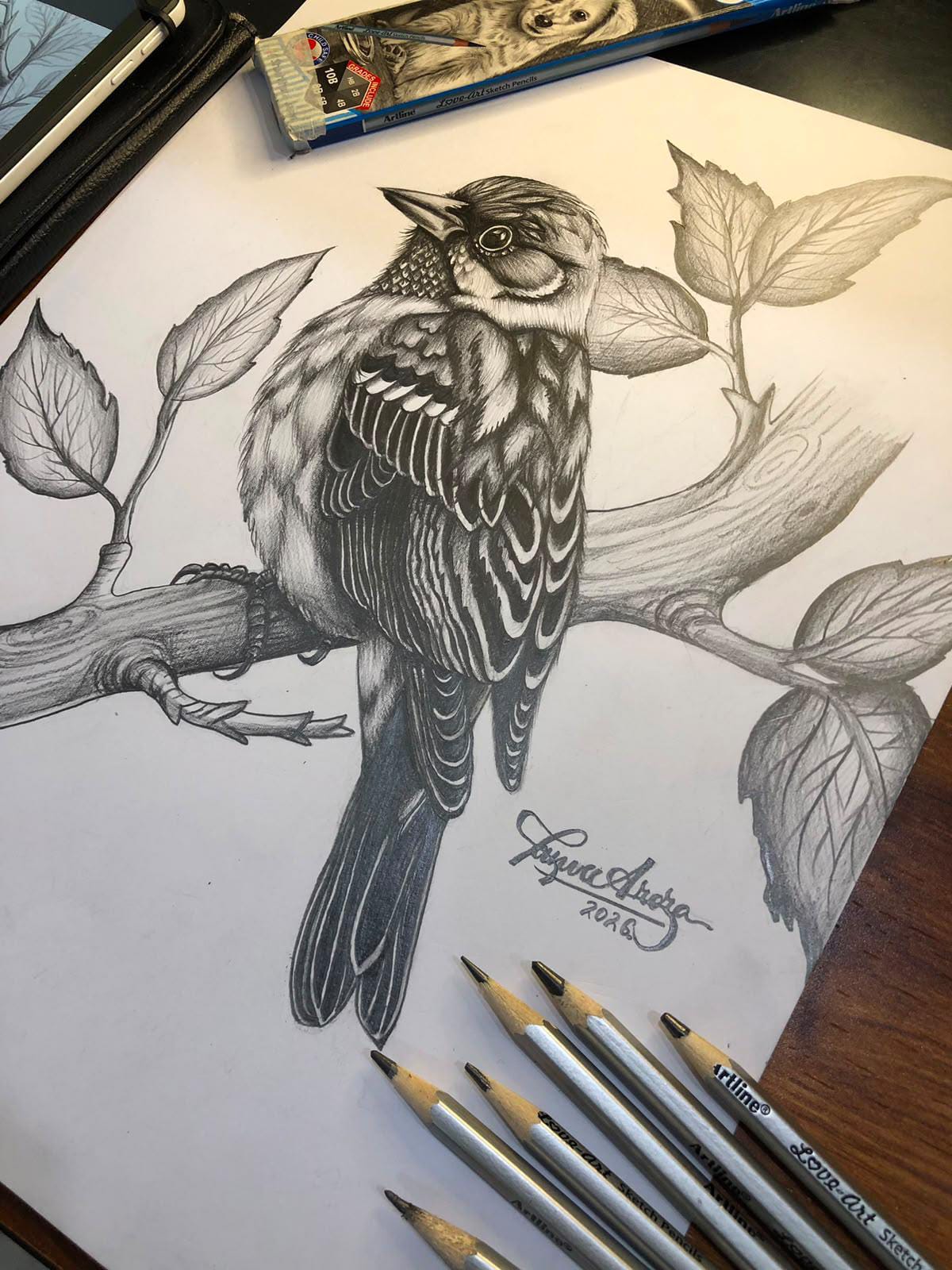 Pencil sketch by Tanvee Arora(9-F).
